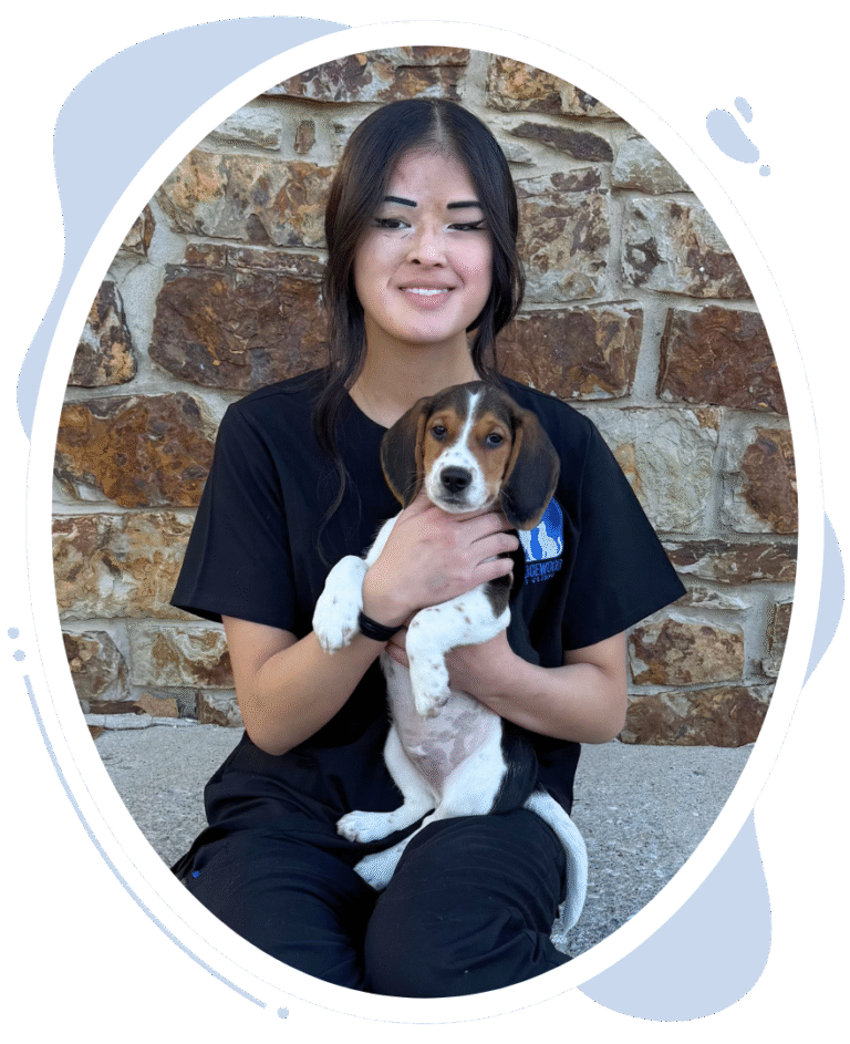 Wedgewood Staff member Maisy's headshot. Maisy sitting on curb holding puppy.