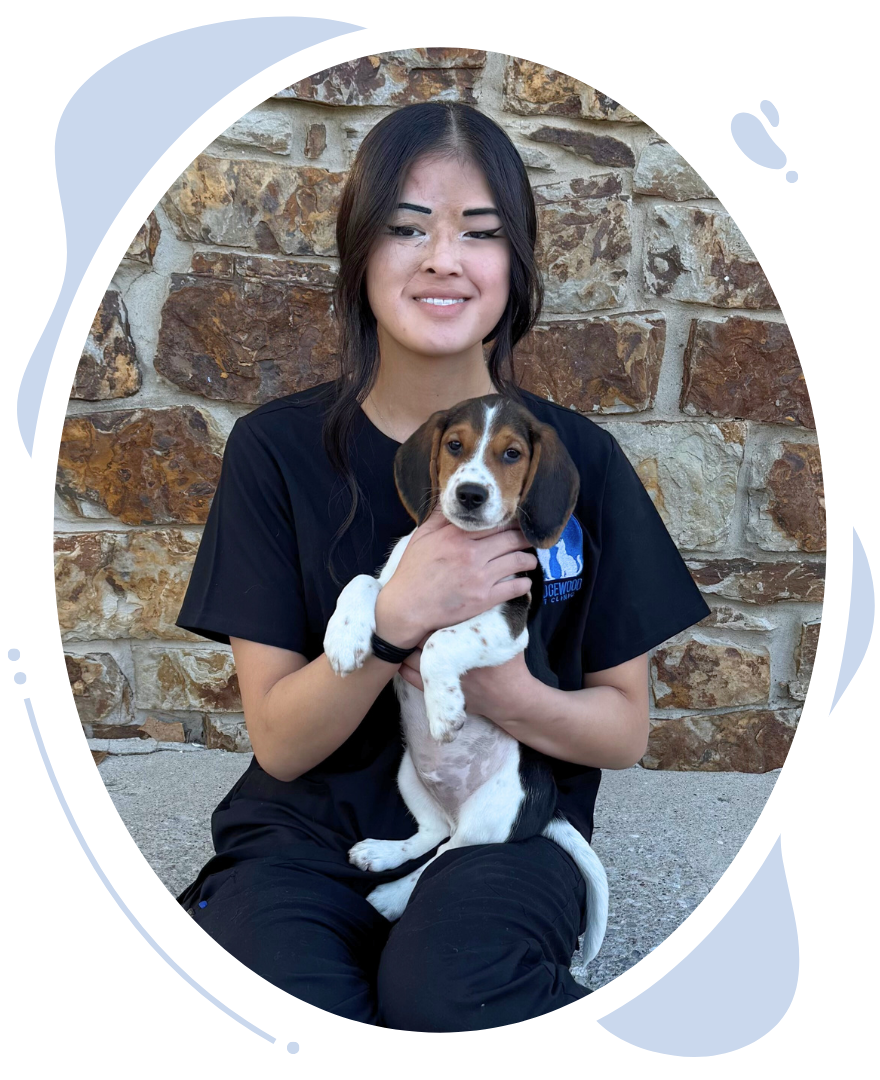 Wedgewood Staff member Maisy's headshot. Maisy sitting on curb holding puppy.