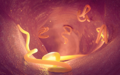 Understanding Tapeworms: What Pet Owners Should Know