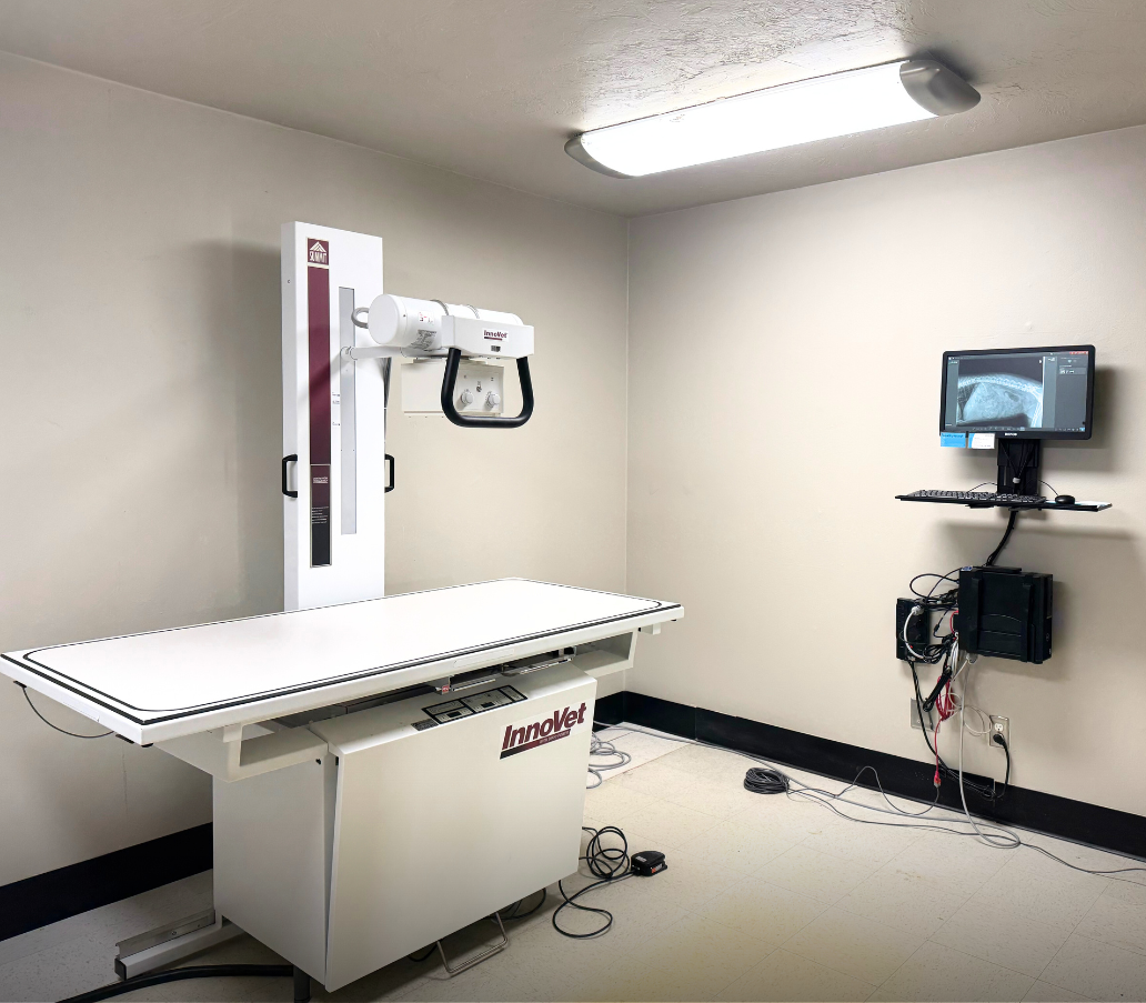 Radiology equipment for preventative and wellness diagnostics.