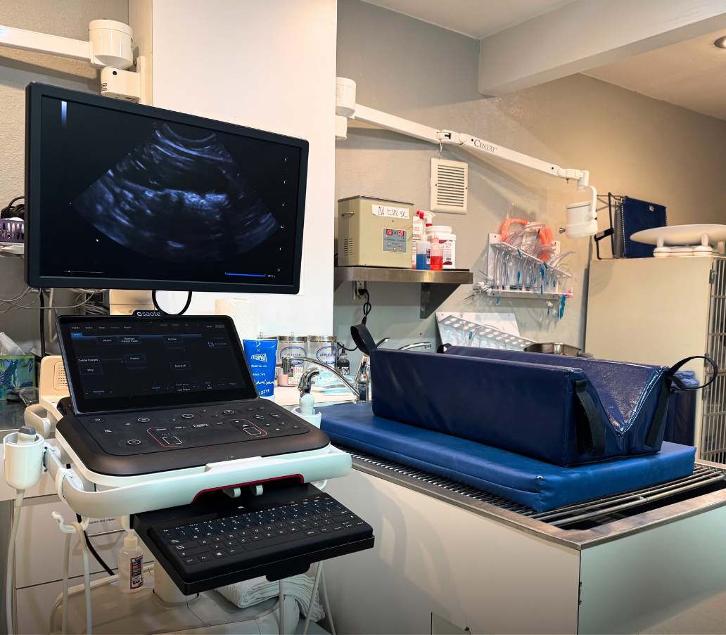 Echocardiogram machine and diagnostic room.