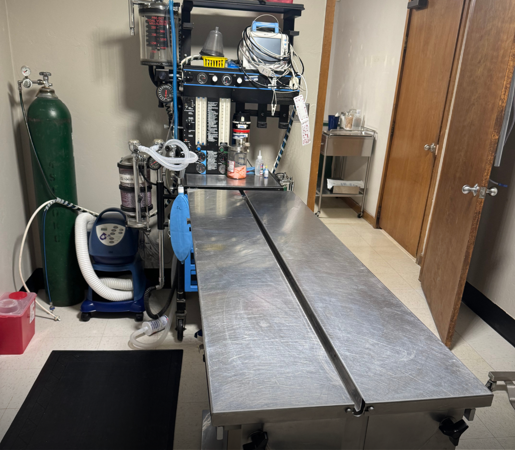 Dedicated surgery room shows operating table and other necessary equipment.