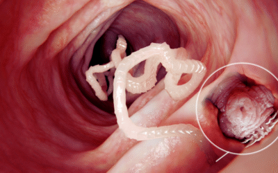 Intestinal Parasites in pets