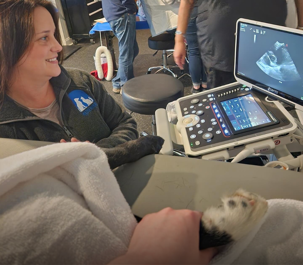 Dr. Bachman reviewing digital images with a patient.