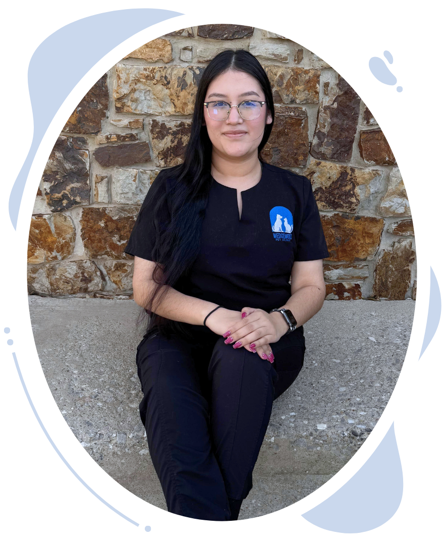 Wedgewood Staff member Karime's headshot.