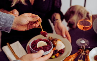 Holiday Hazards: Keeping Pets Safe During Winter Festivities