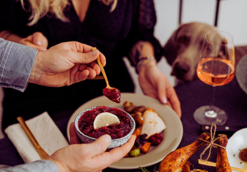 Toxic Holiday Foods Pet Safety (1) Dog looks up at humans with pleading eyes from under the table while they eat and drink holiday foods and drinks that are hazardous to pets.