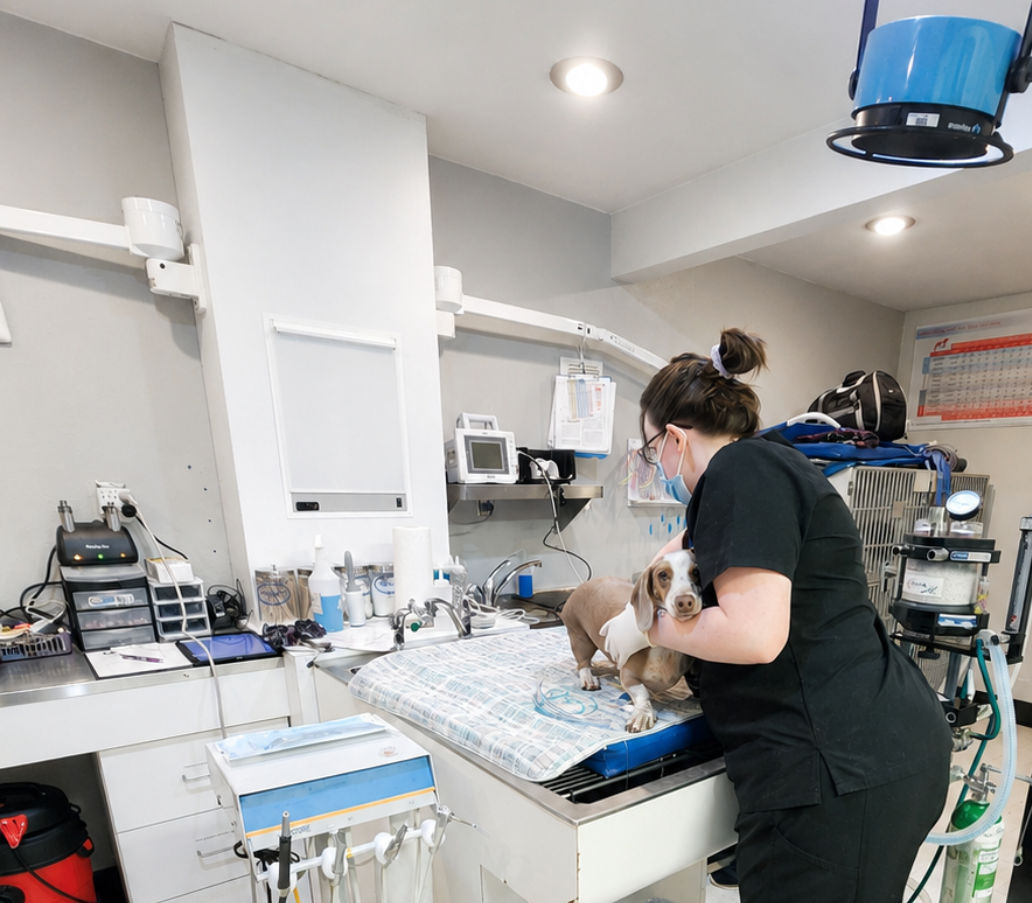 Dedicated surgery room shows operating table and other necessary equipment.