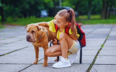 Separation Anxiety in Pets: How Back-to-School Routine Changes Can Affect Them