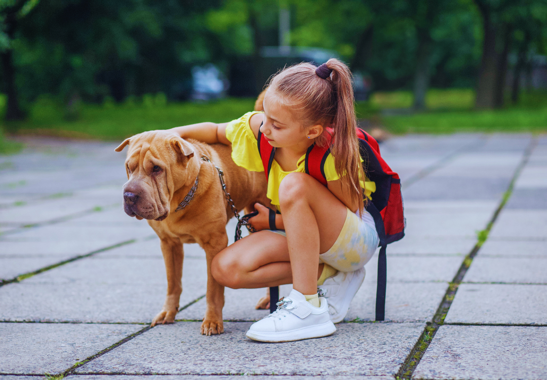 Little girl with a school backpack on bends down to pet her dog.